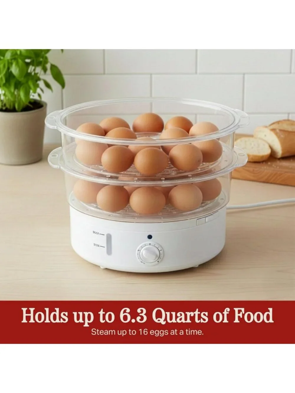 2-Tier Vegetable Steamer & Rice Cooker - Efficient, Compact Kitchen Appliance